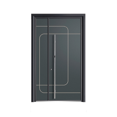 Luxury aluminum door