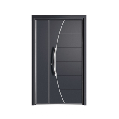Luxury aluminum door