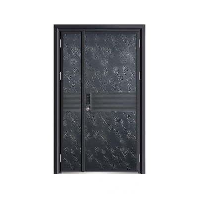 Luxury aluminum door