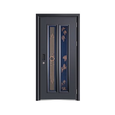 Luxury aluminum door 