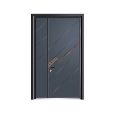 Luxury aluminum door