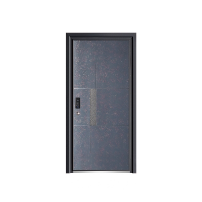 Luxury aluminum door 