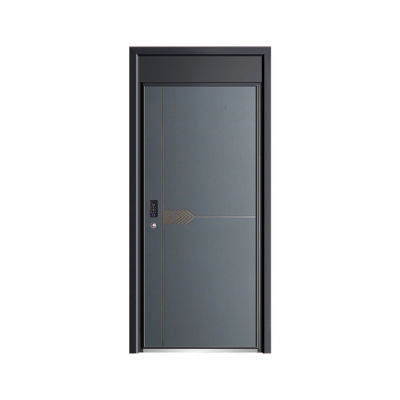 Luxury aluminum door